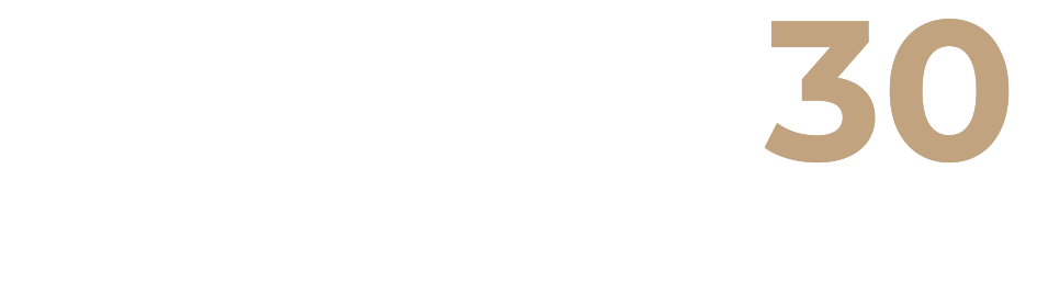 vision30-logo