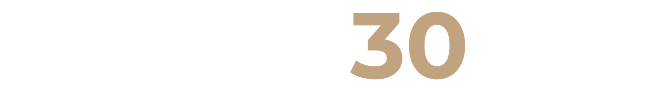 VISION30-HE-Logo-white